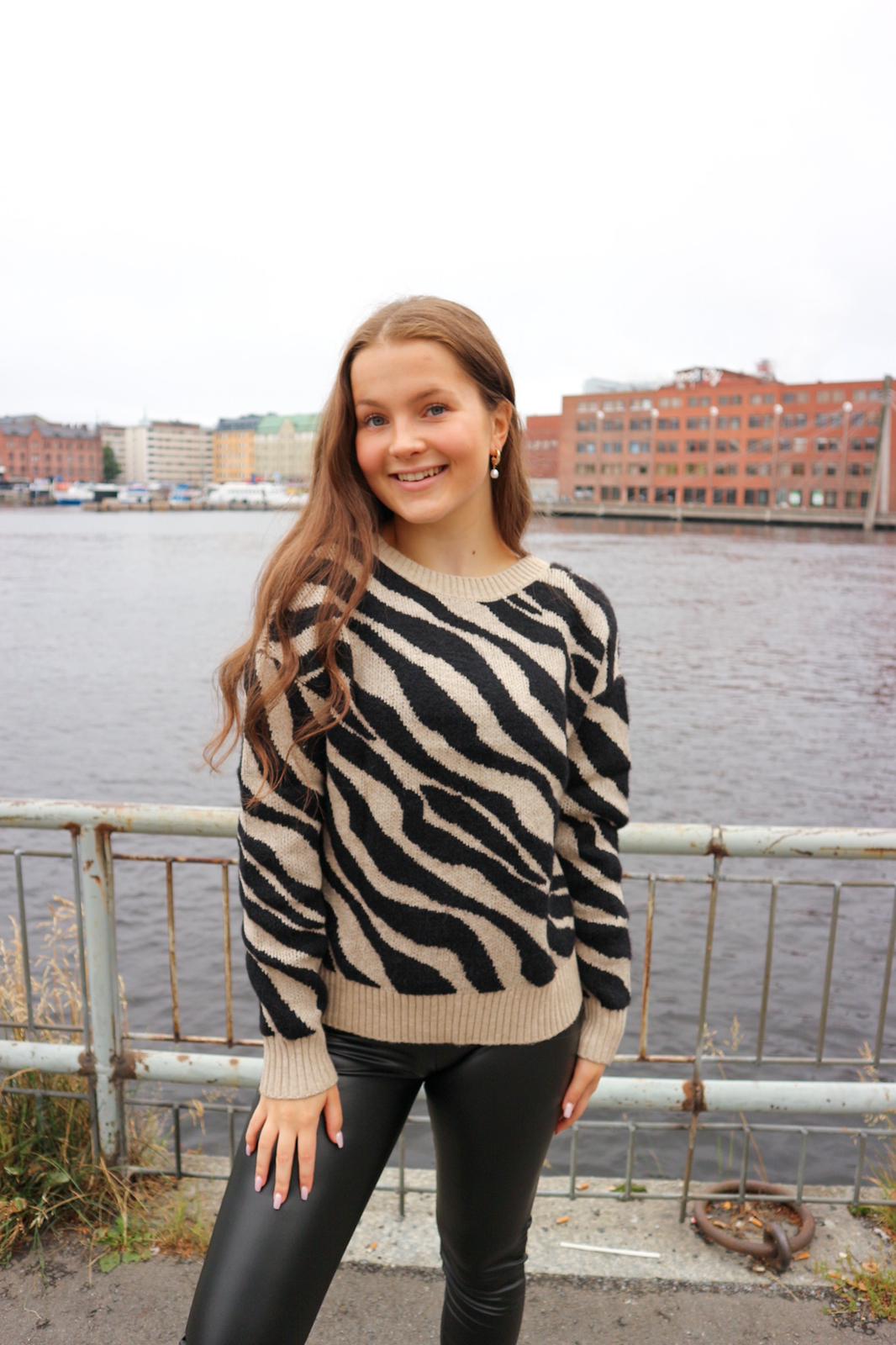 VIRIL Pullover - Natural Melange